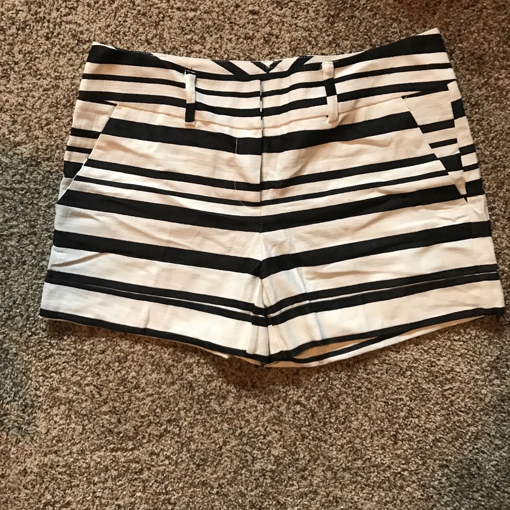 7th Avenue Shorts